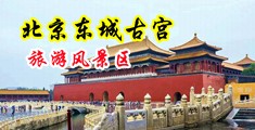 两个日本女人跪舔大鸡巴中国北京-东城古宫旅游风景区